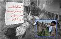 آگ کی افواہ کے بعد ٹرین سے لگائی چھلانگ، دوسری ٹرین سے کچل کر4 مسافرہلاک